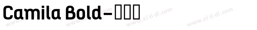 Camila Bold字体转换